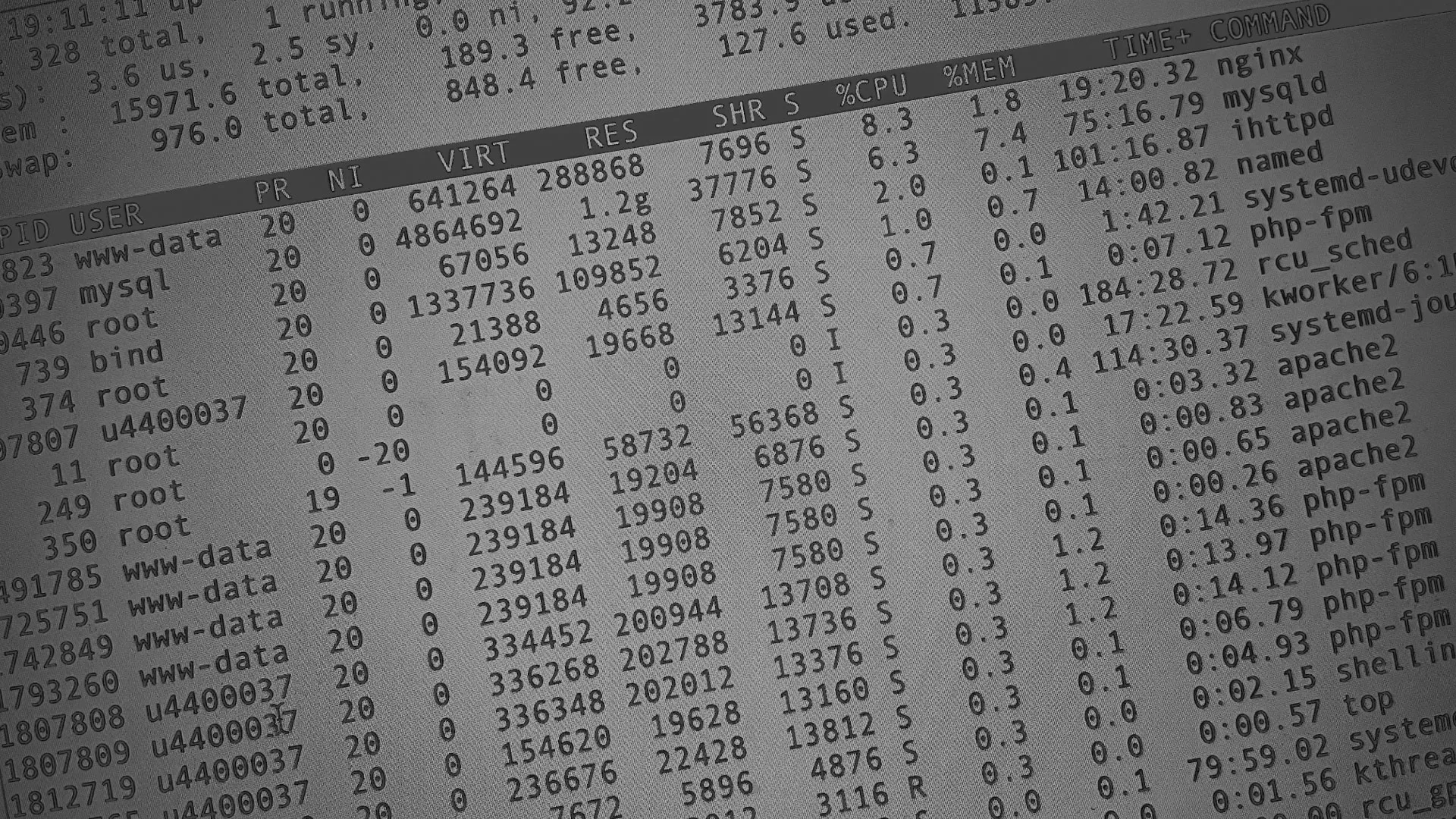 Настройка сервера в Великом Новгороде